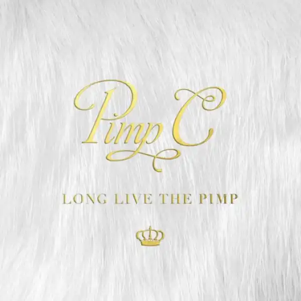 Pimp C - To Lose A Whore